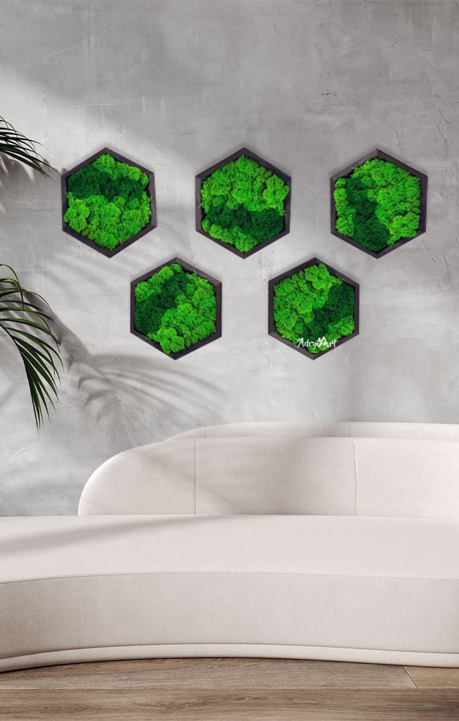 5 Hexagoane decorative de perete cu muschi si licheni stabilizati