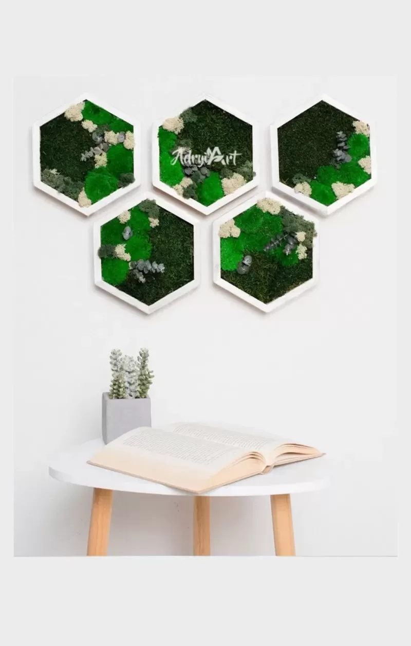 5 Hexagoane decorative de perete cu muschi si licheni stabilizati