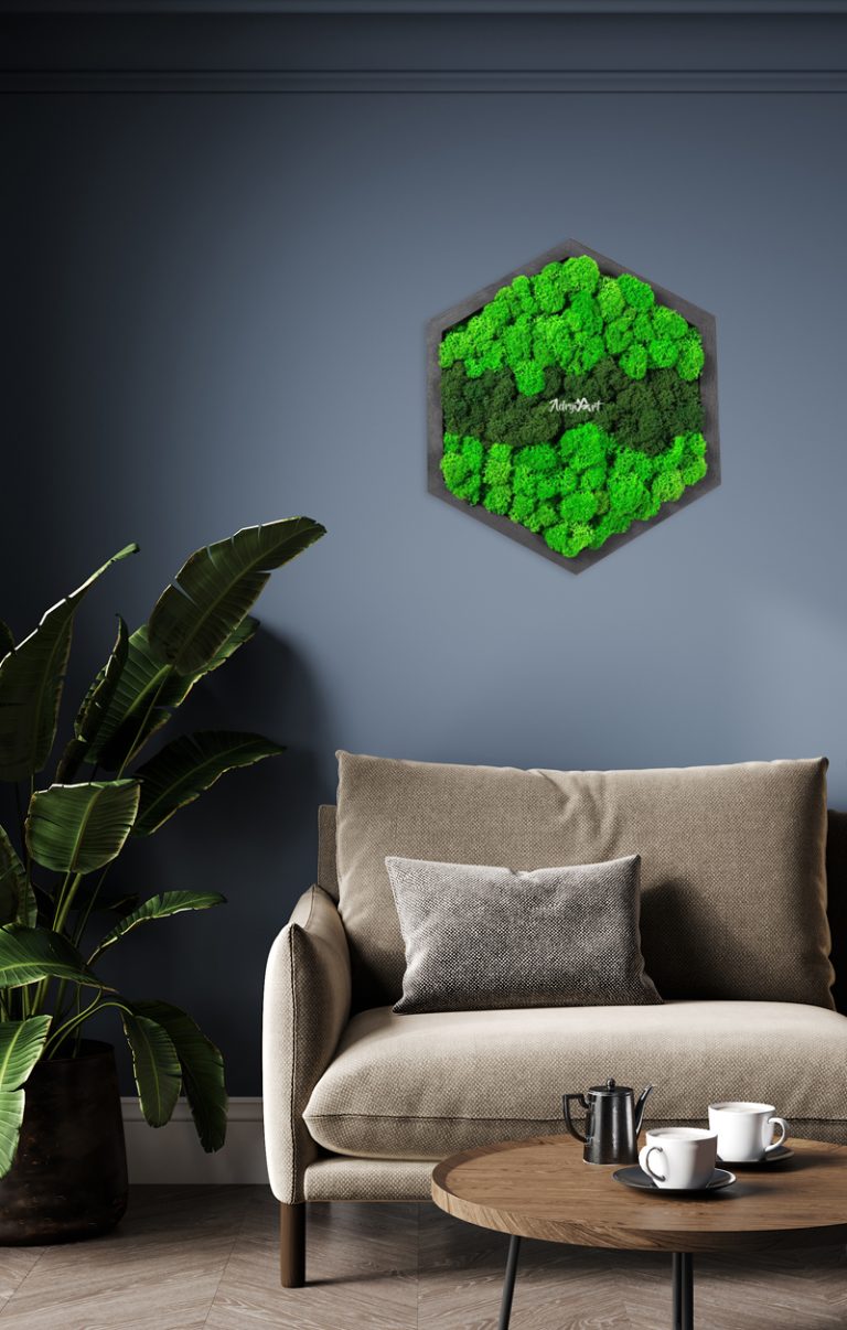 Decoratiune cu licheni stabilizati model hexagon