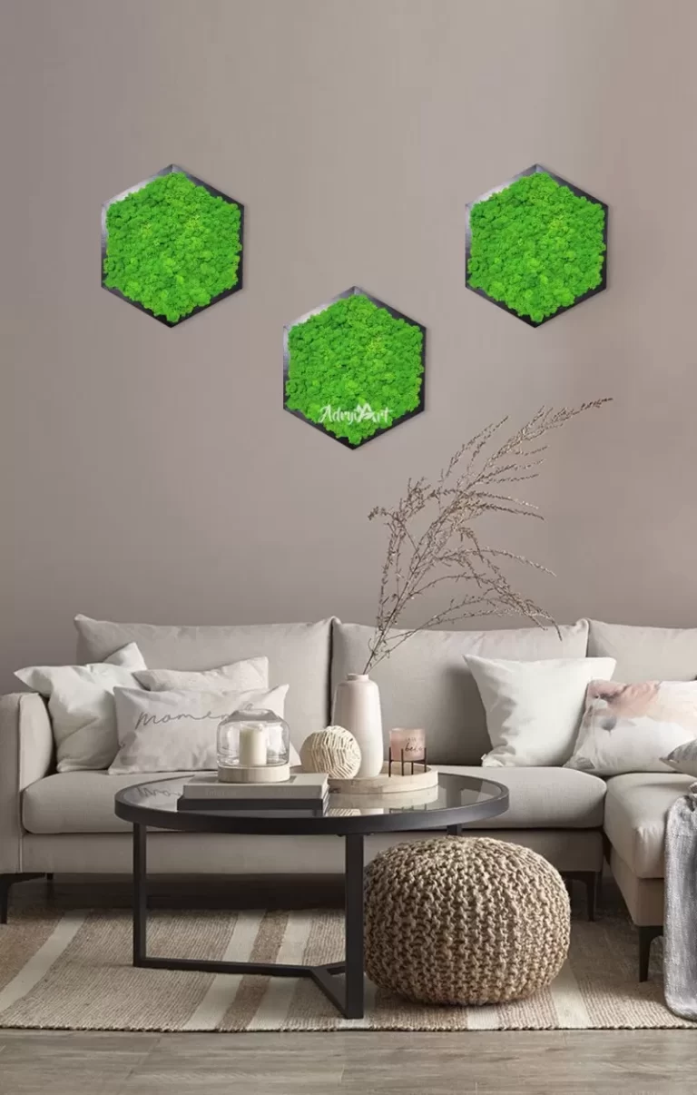 Decoratiune cu licheni stabilizati model hexagon