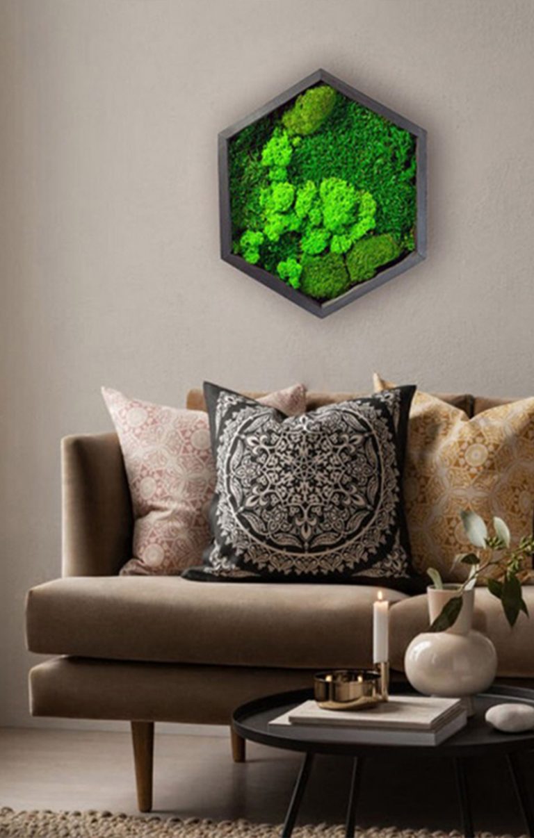 Decoratiune de perete Hexagon cu licheni sau muschi naturali 30cm