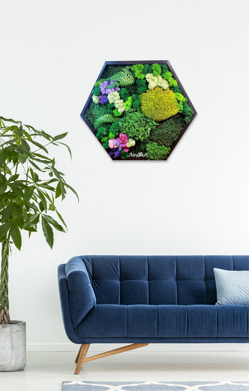 Hexagon decorat cu muschi, licheni si plante criogenate