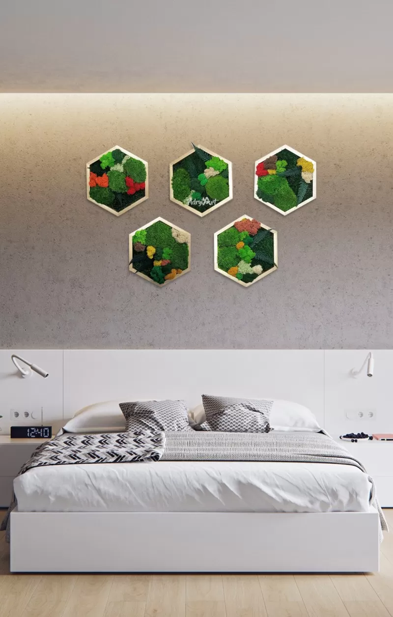 Set de 5 Hexagoane decorate cu licheni si muschi stabilizati, naturali